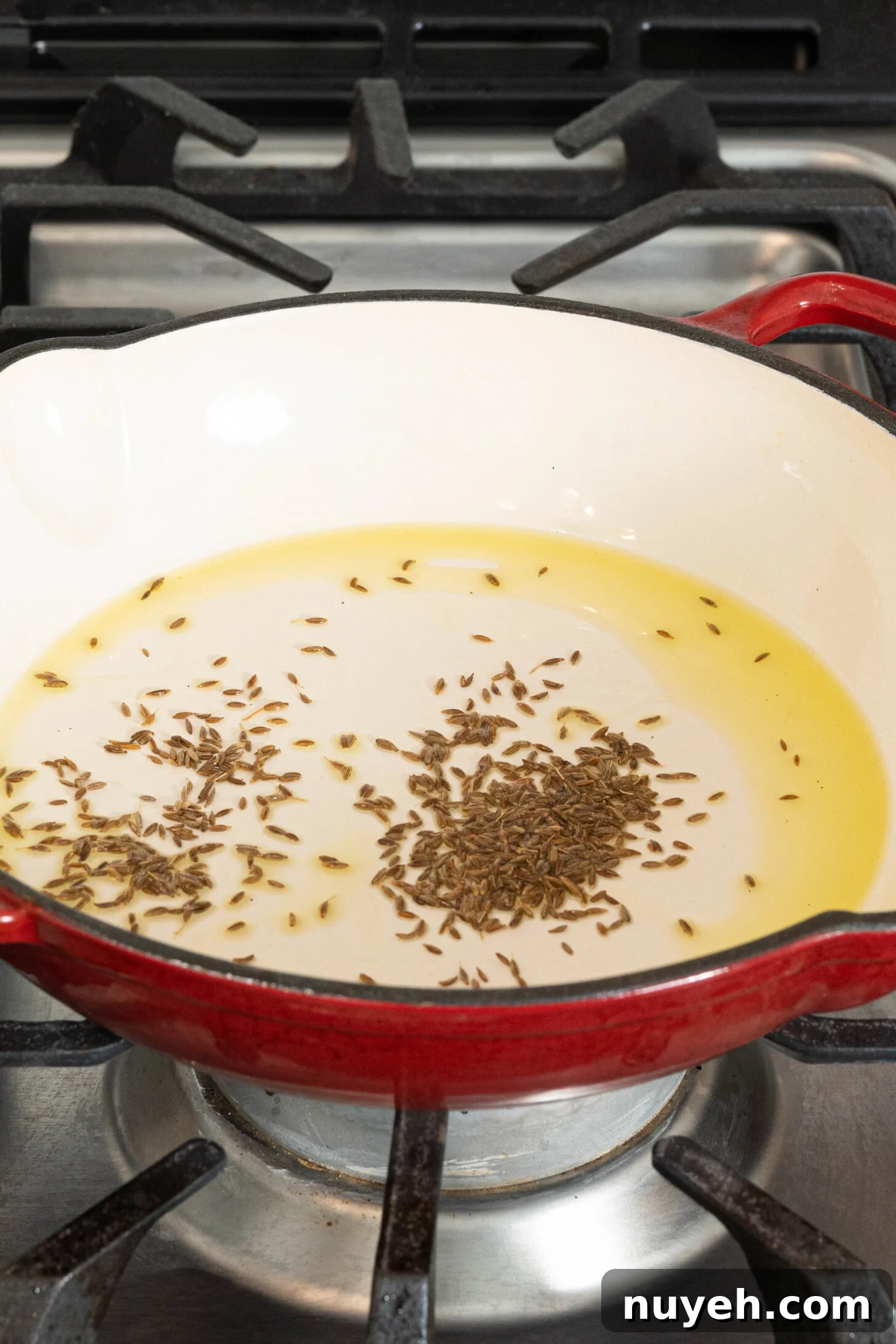 cumin seeds with oil in a pan on a stovetop