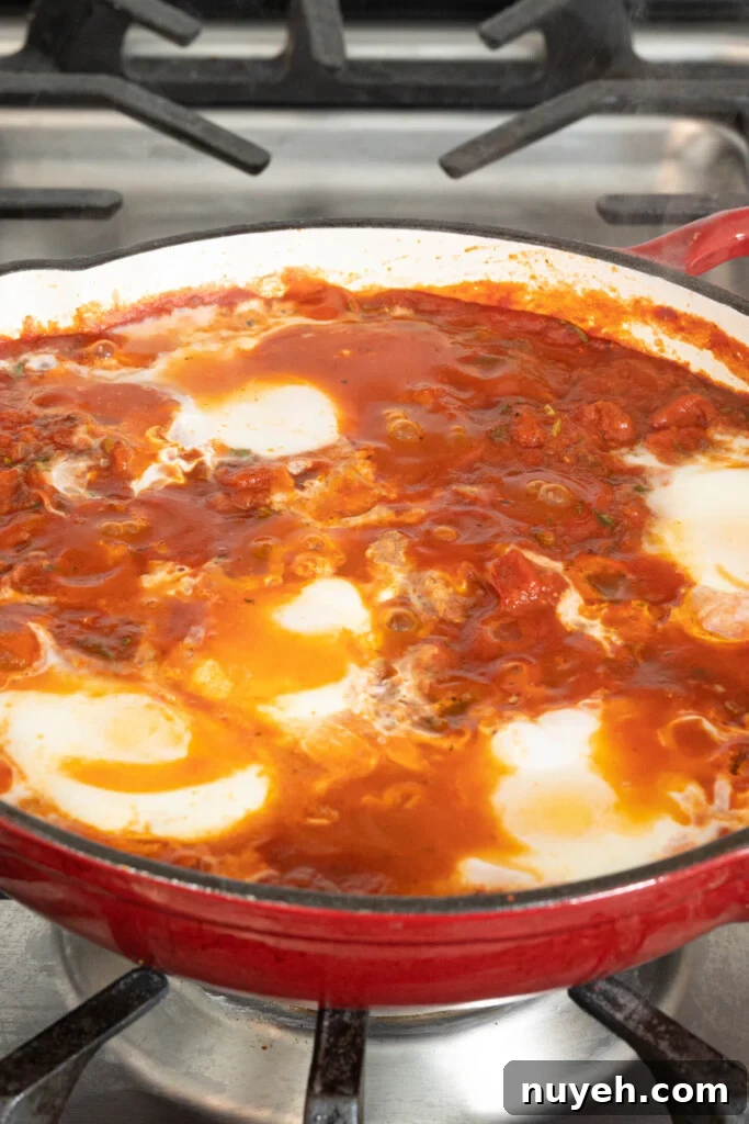 shakshuka in a pan on a stovetop