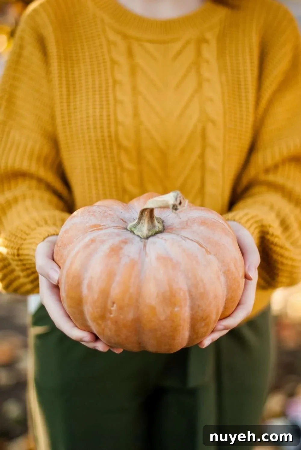 Foods to eat in moderation