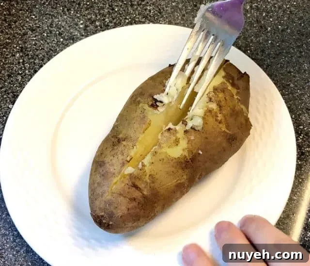 Finished baked potato