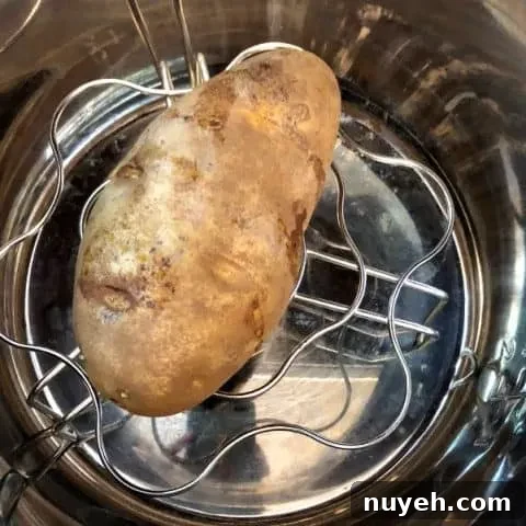 Baked Potatoes in the Instant Pot