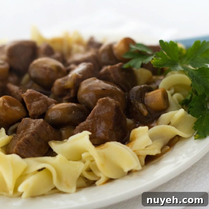 White plate with egg noodles topped with beef and mushrooms, garnished with a sprig of parsley