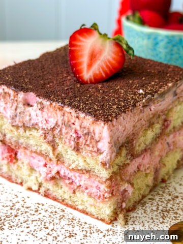 strawberry tiramisu