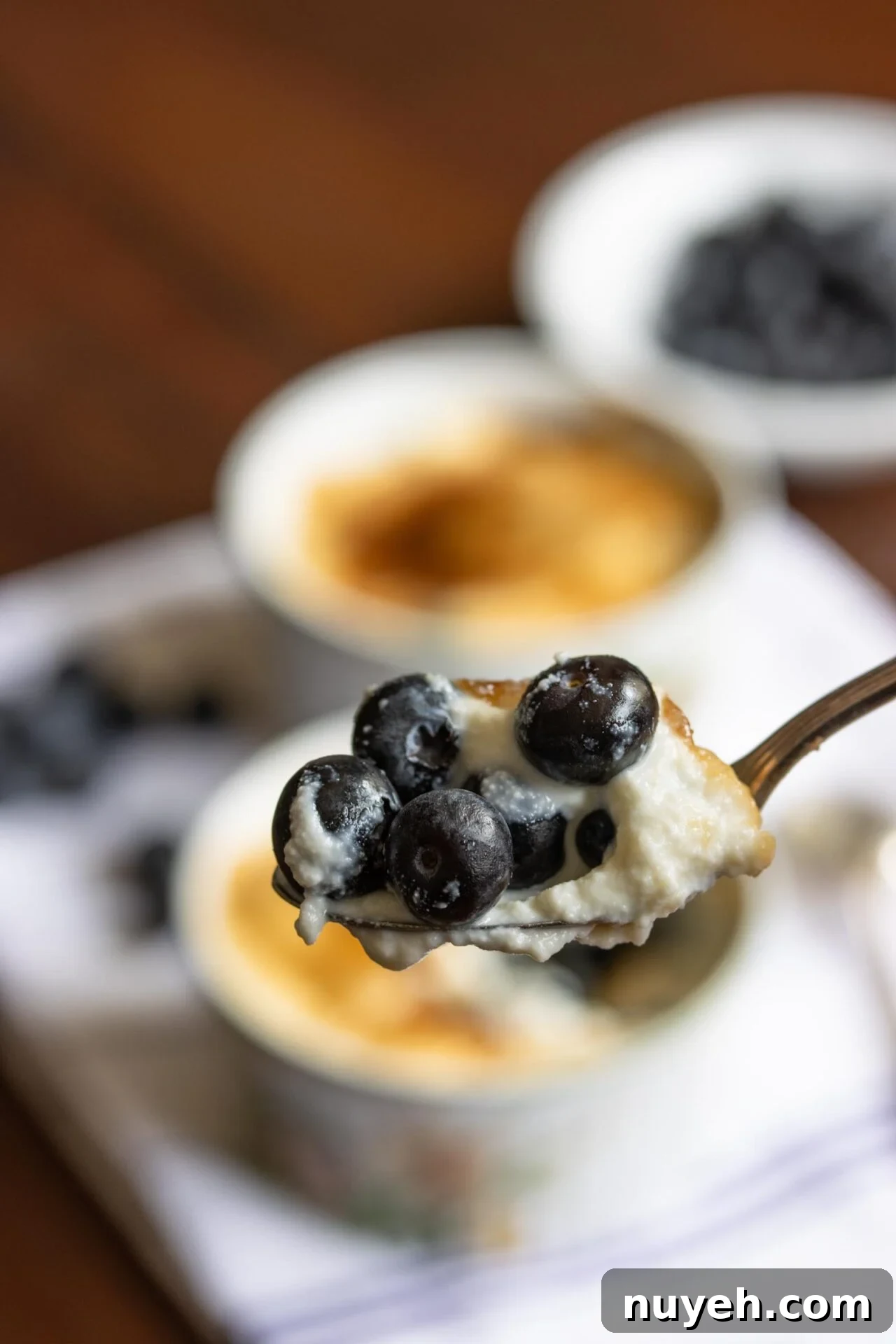 Blueberry Delight