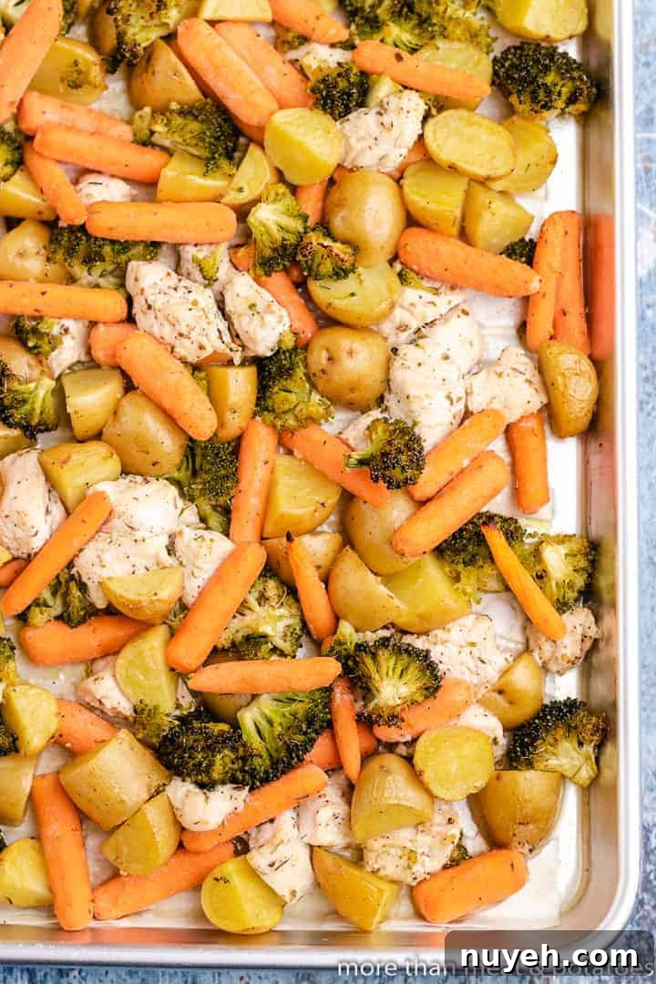 Top-down view of the freshly roasted meat and vegetables.