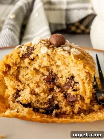 Oatmeal Chocolate Chip Muffins featured image.