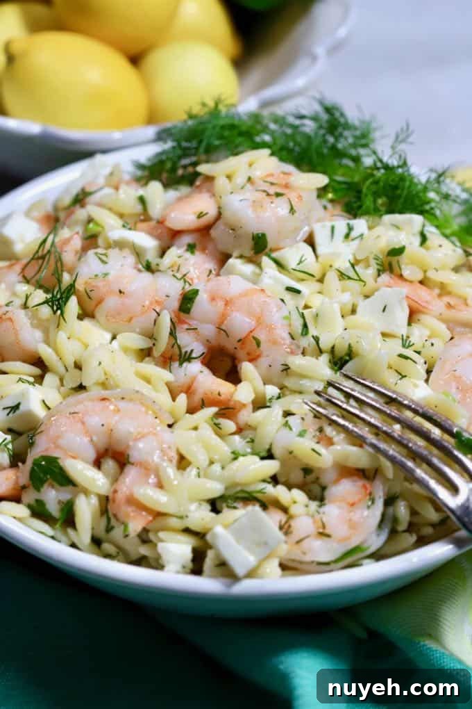 20 High-Protein Salad Recipes That Beat Boredom 12 Shrimp Pasta Salad