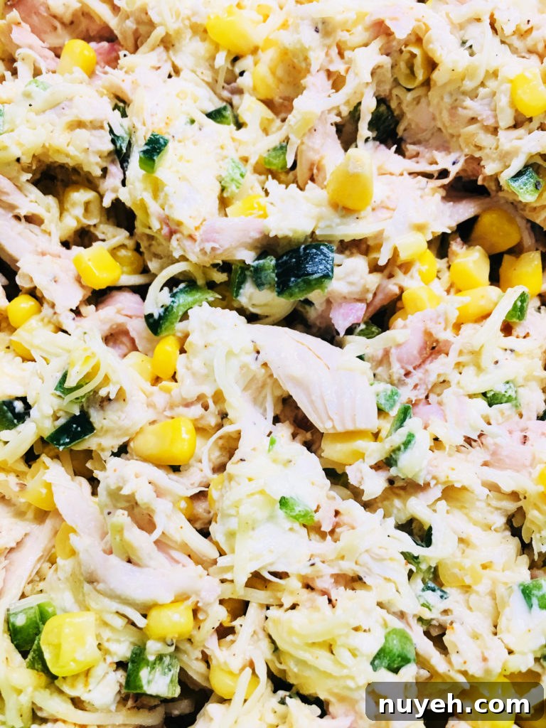 Baked Cheesy Mexican Chicken Casserole Recipe 3 Cheesy Chicken Mexican Casserole