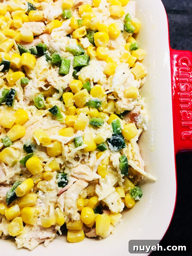 Baked Cheesy Mexican Chicken Casserole Recipe 4 Casserole in dish with panko topping