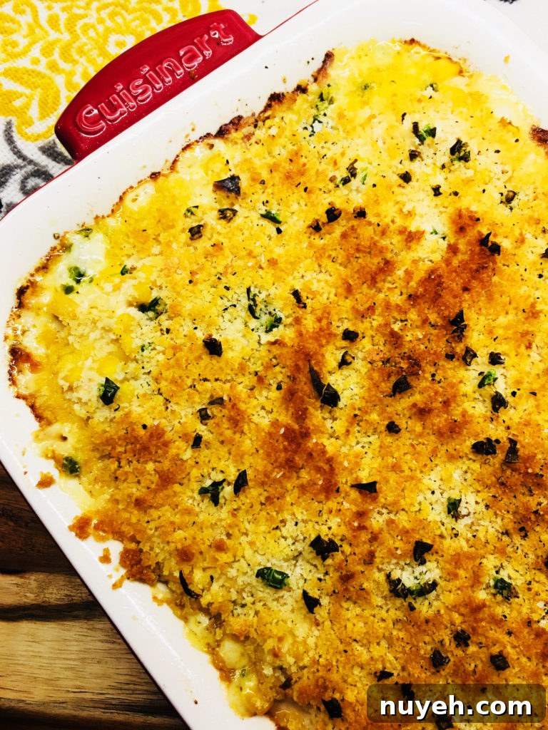 Baked Cheesy Mexican Chicken Casserole Recipe 5 Baked Cheesy Chicken Mexican Casserole