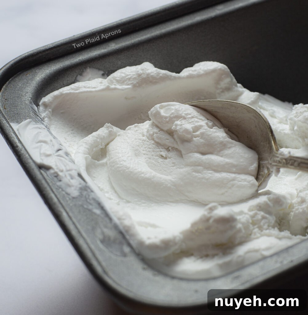 Coconut ice cream in a pan with spoon.