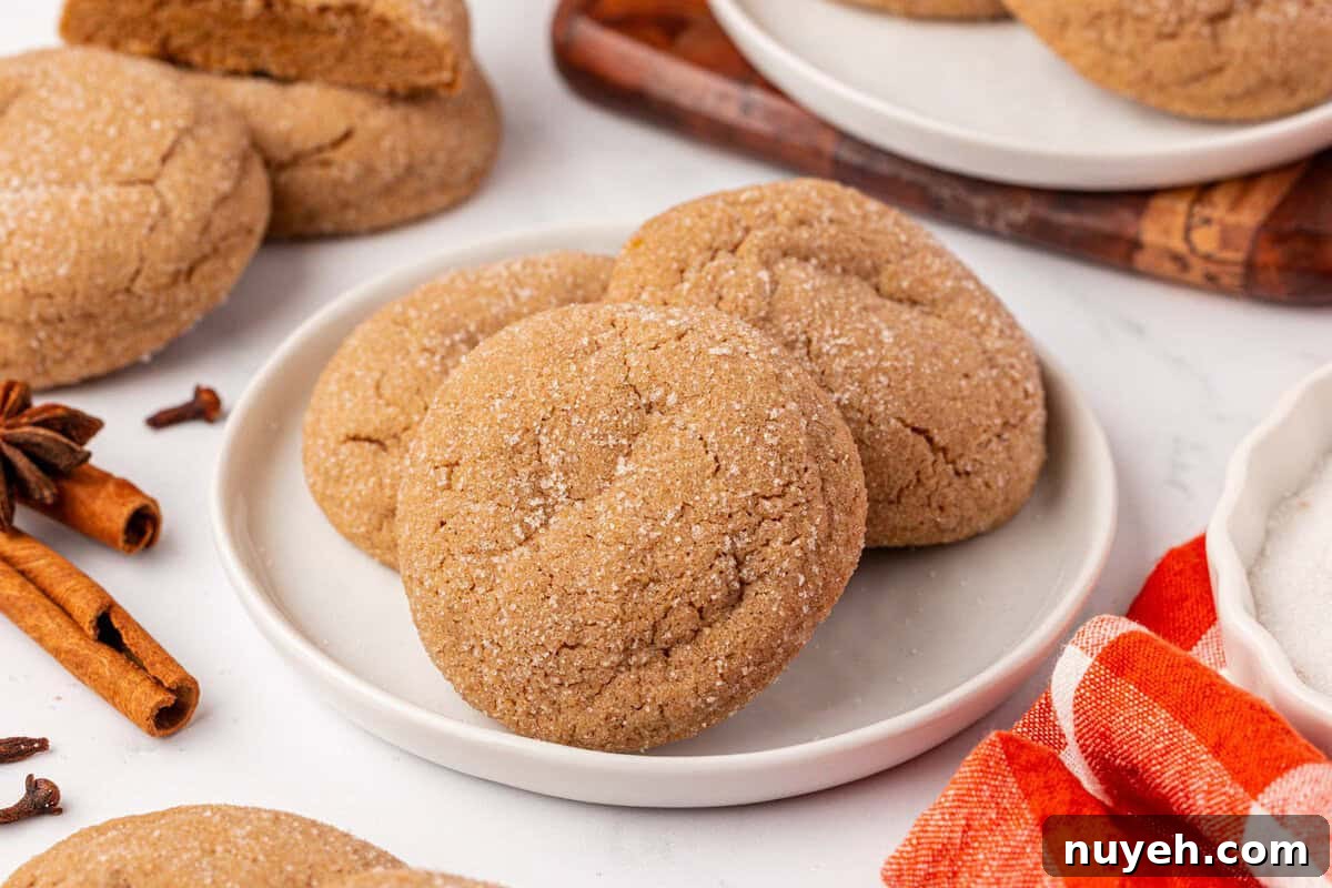 Spiced Cake Mix Cookies Recipe 11 cake mix spice cookies