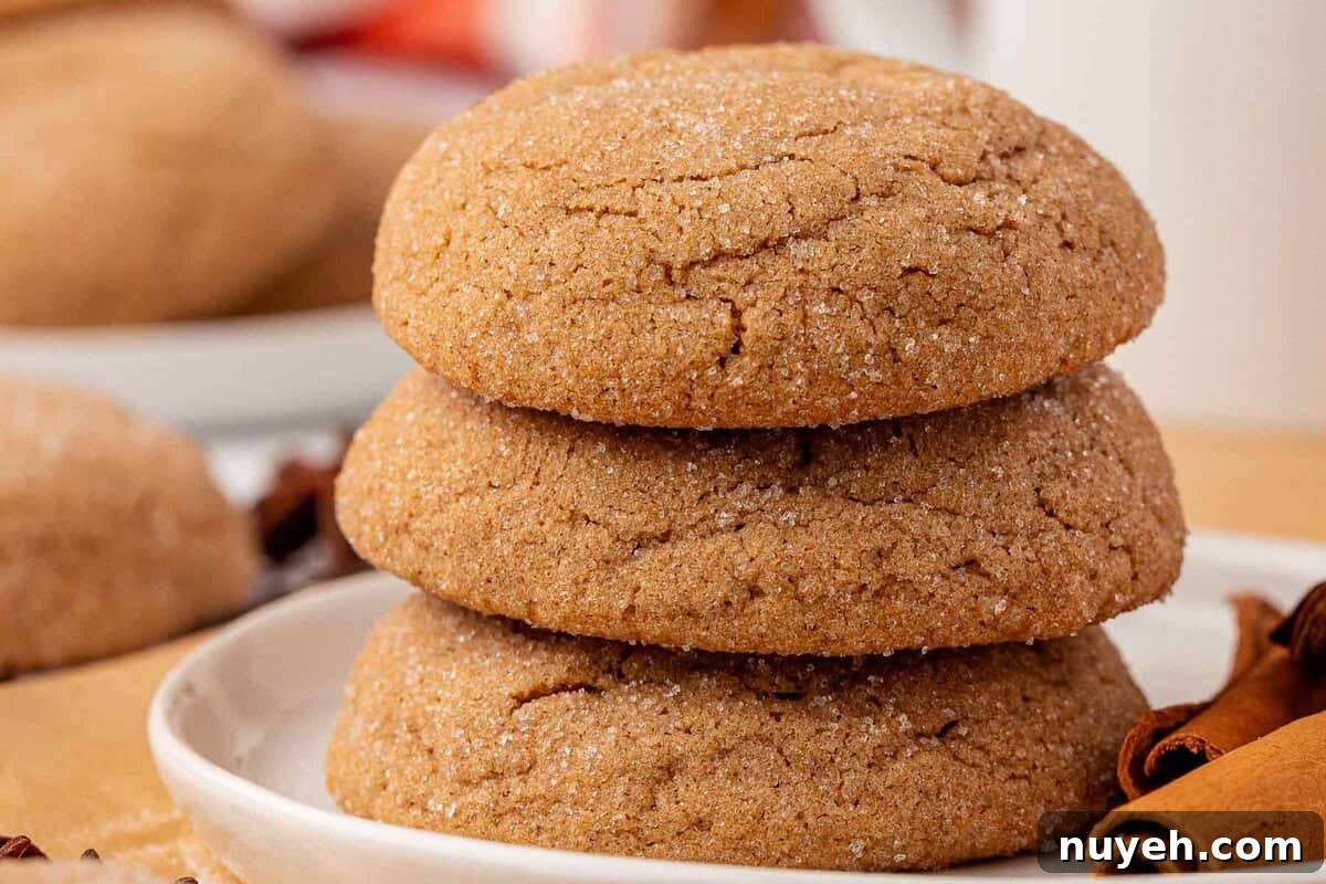 Spiced Cake Mix Cookies Recipe 13 cake mix spice cookies