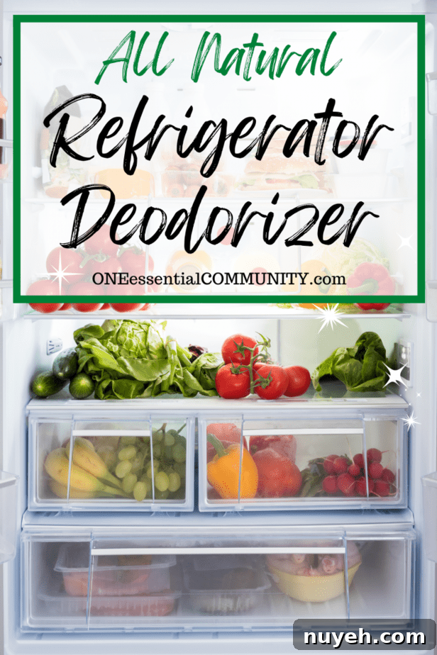All natural refrigerator deodorizer by oneessentialcommunity -- inside of refrigerator