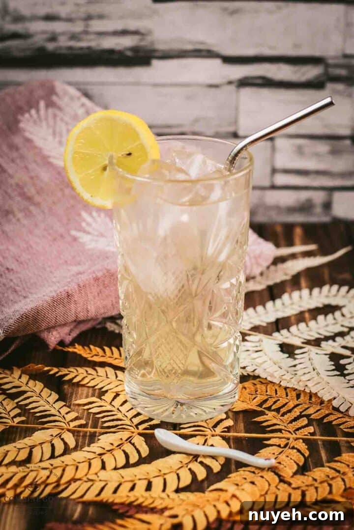 Gorgeous Bourbon Highball cocktail, made with Bourbon and Ginger beer. Served with a lemon slice.