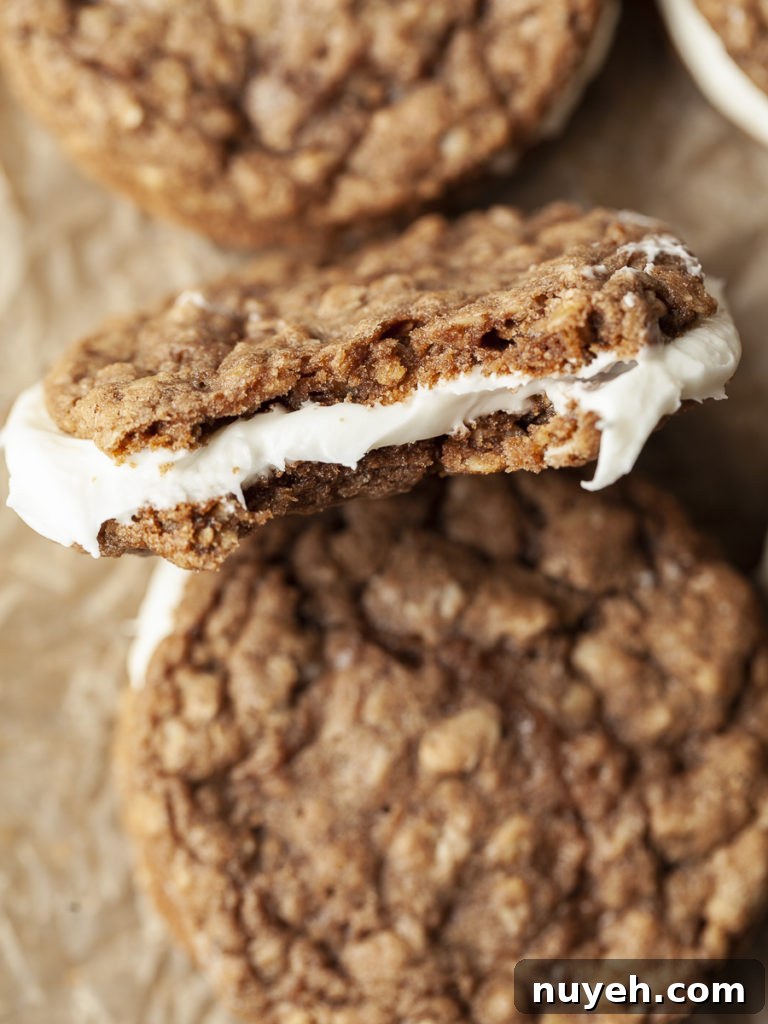 bit shot of oatmeal creme pie
