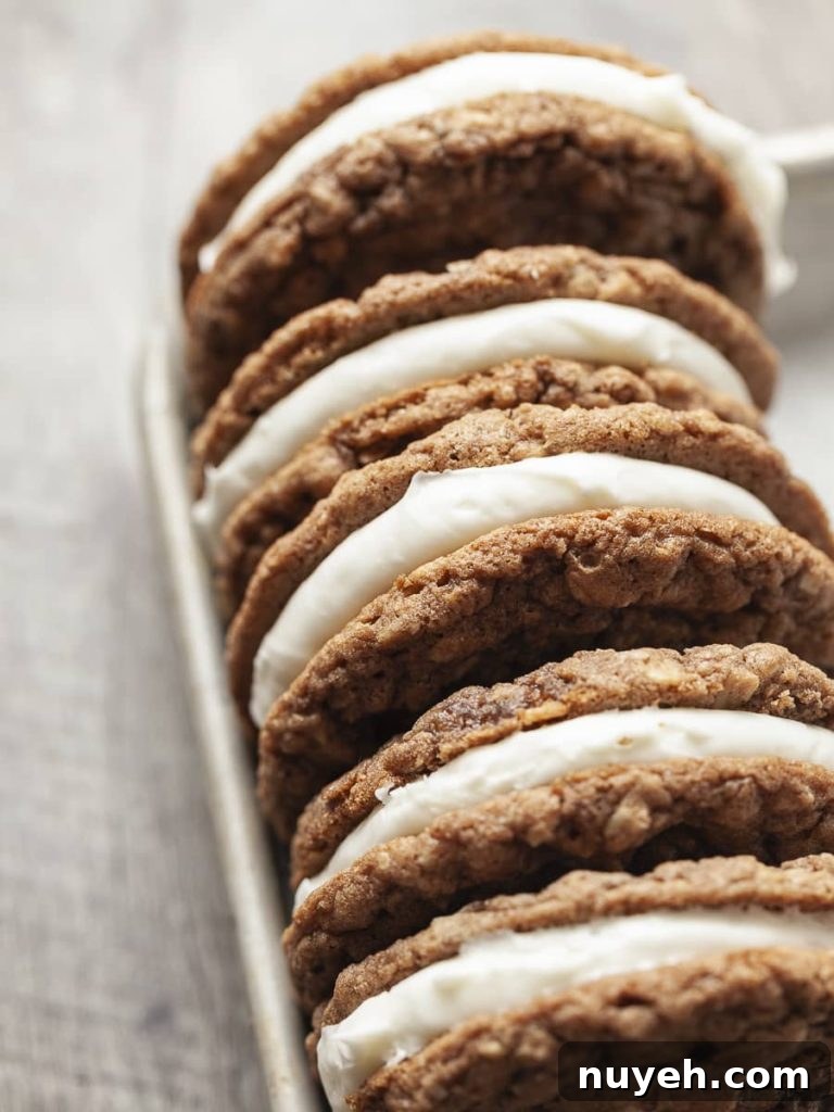 Gluten Free Thin Oatmeal Cookie