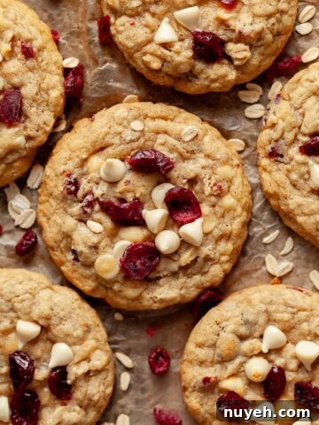 Gluten Free Oatmeal Cranberry Cookies