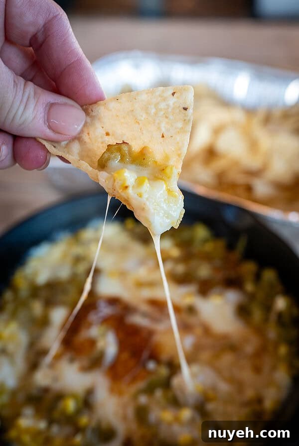 Tortilla chip with Hatch Chile Oaxaca Cheese Dip.