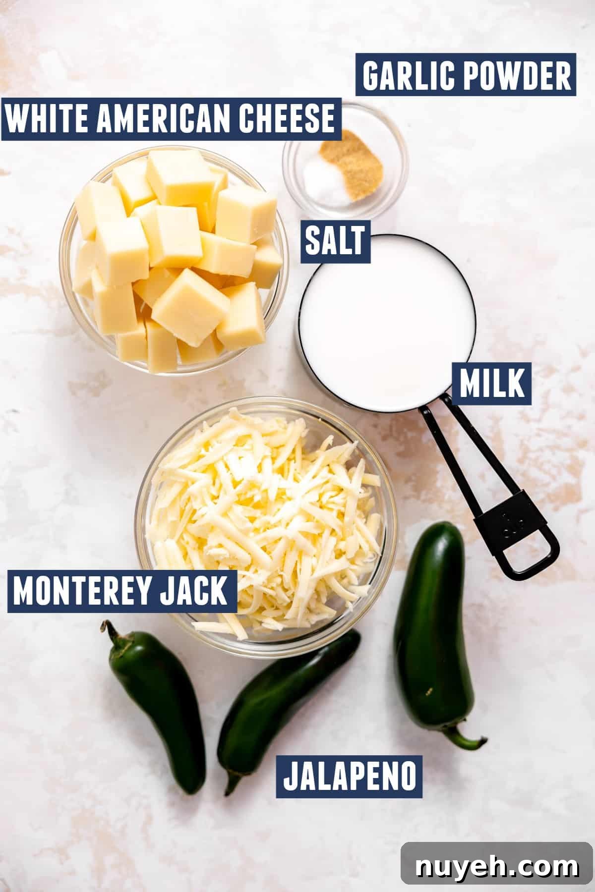 Ingredients needed to make white queso. 