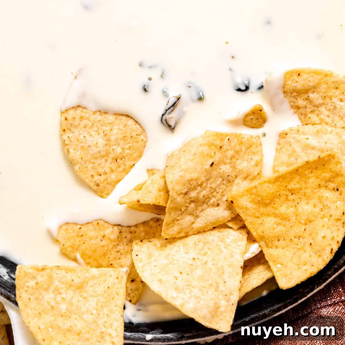 Chips dipped into white queso 