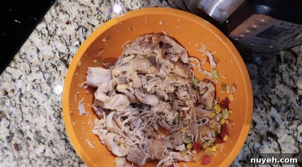 Shredded chicken
