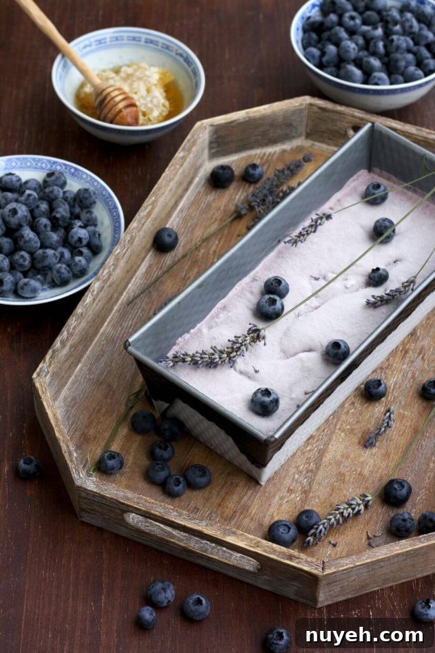 Blueberry Cheesecake Ice Cream with Lavender (Sugar-Free) 2 Easy sugar free blueberry cheesecake ice cream is a delicious dessert made from just 5 ingredients! This recipe can be used without an ice cream maker.