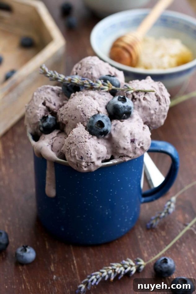 Blueberry Cheesecake Ice Cream with Lavender (Sugar-Free) 3 Easy sugar free blueberry cheesecake ice cream is a delicious dessert made from just 5 ingredients! This recipe can be used without an ice cream maker.