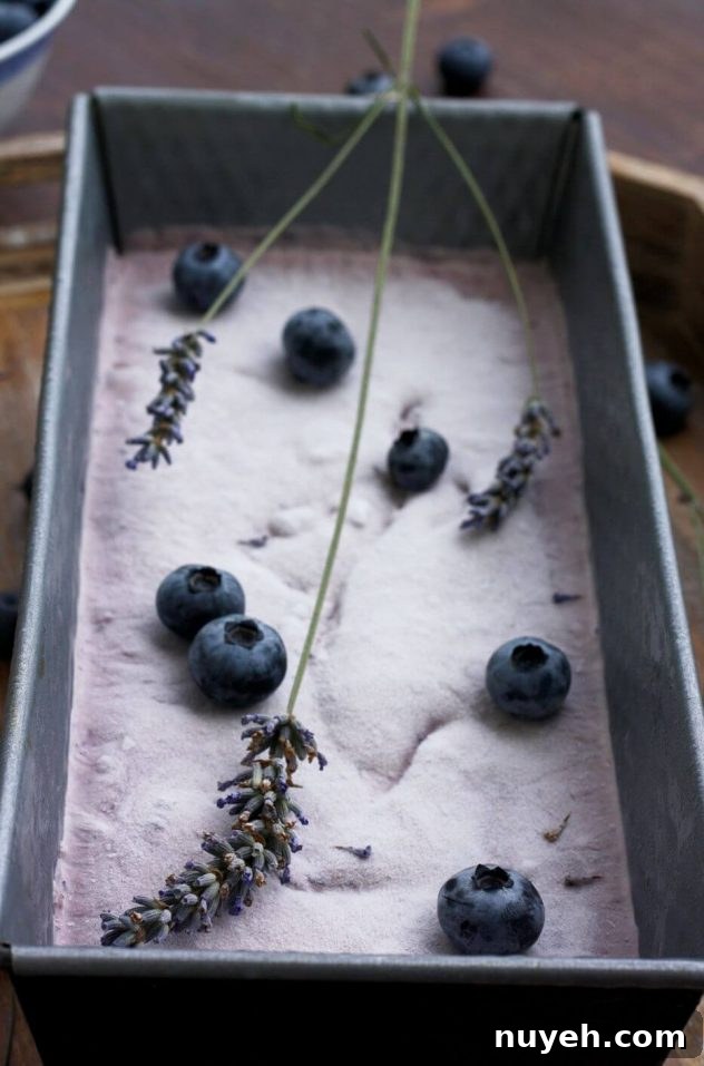 Blueberry Cheesecake Ice Cream with Lavender (Sugar-Free) 4 Easy sugar free blueberry cheesecake ice cream is a delicious dessert made from just 5 ingredients! This recipe can be used without an ice cream maker.