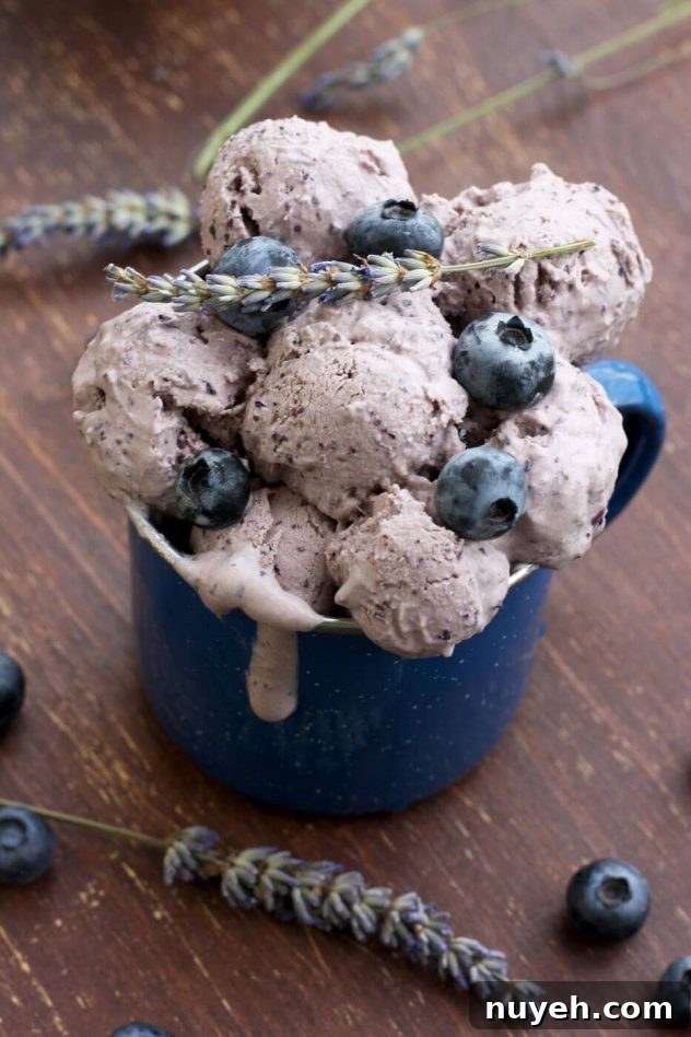 Blueberry Cheesecake Ice Cream with Lavender (Sugar-Free) 5 Easy sugar free blueberry cheesecake ice cream is a delicious dessert made from just 5 ingredients! This recipe can be used without an ice cream maker.