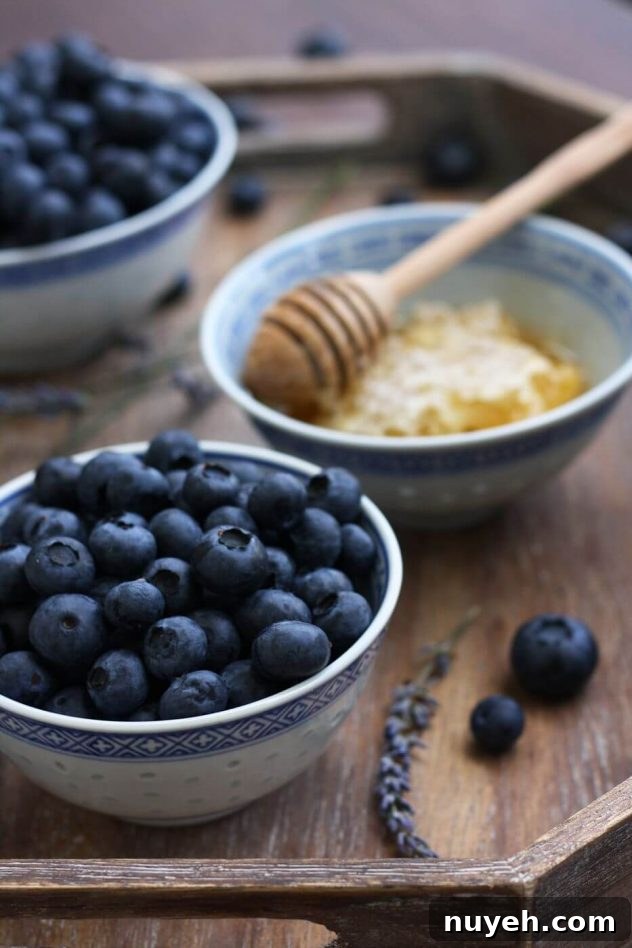 Blueberry Cheesecake Ice Cream with Lavender (Sugar-Free) 6 Easy sugar free blueberry cheesecake ice cream is a delicious dessert made from just 5 ingredients! This recipe can be used without an ice cream maker.