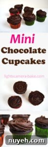 Mini Chocolate Cupcakes Recipe: Moist Bite-Size Treats 5 Mini Chocolate Cupcakes are a soft and fluffy chocolate cupcake topped with a rich chocolate buttercream.