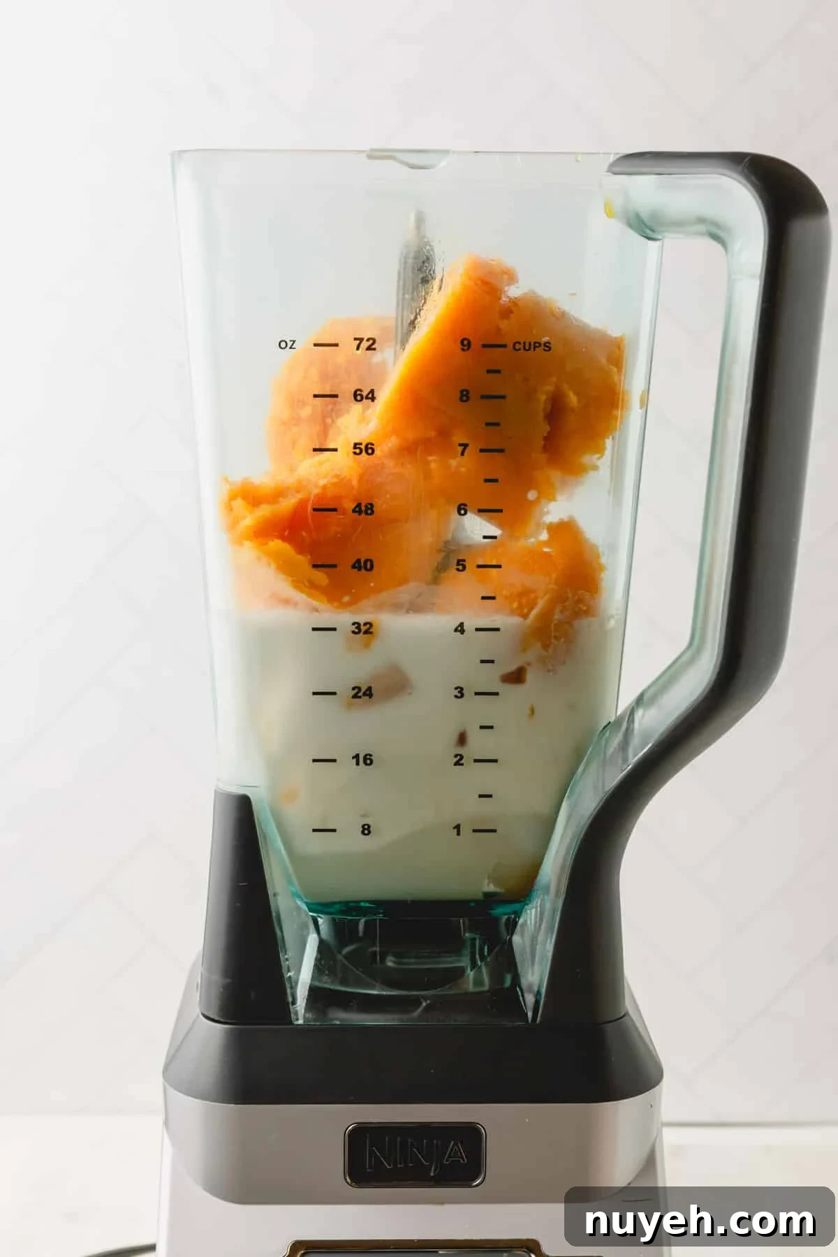 Coconut orange Julius ingredients in a blender.