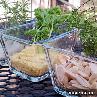 Vegan Almond “Parmesan”