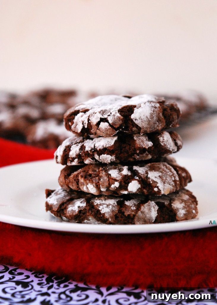 Christmas Chocolate Peppermint Crinkle Cookies--from Allergy Awesomeness