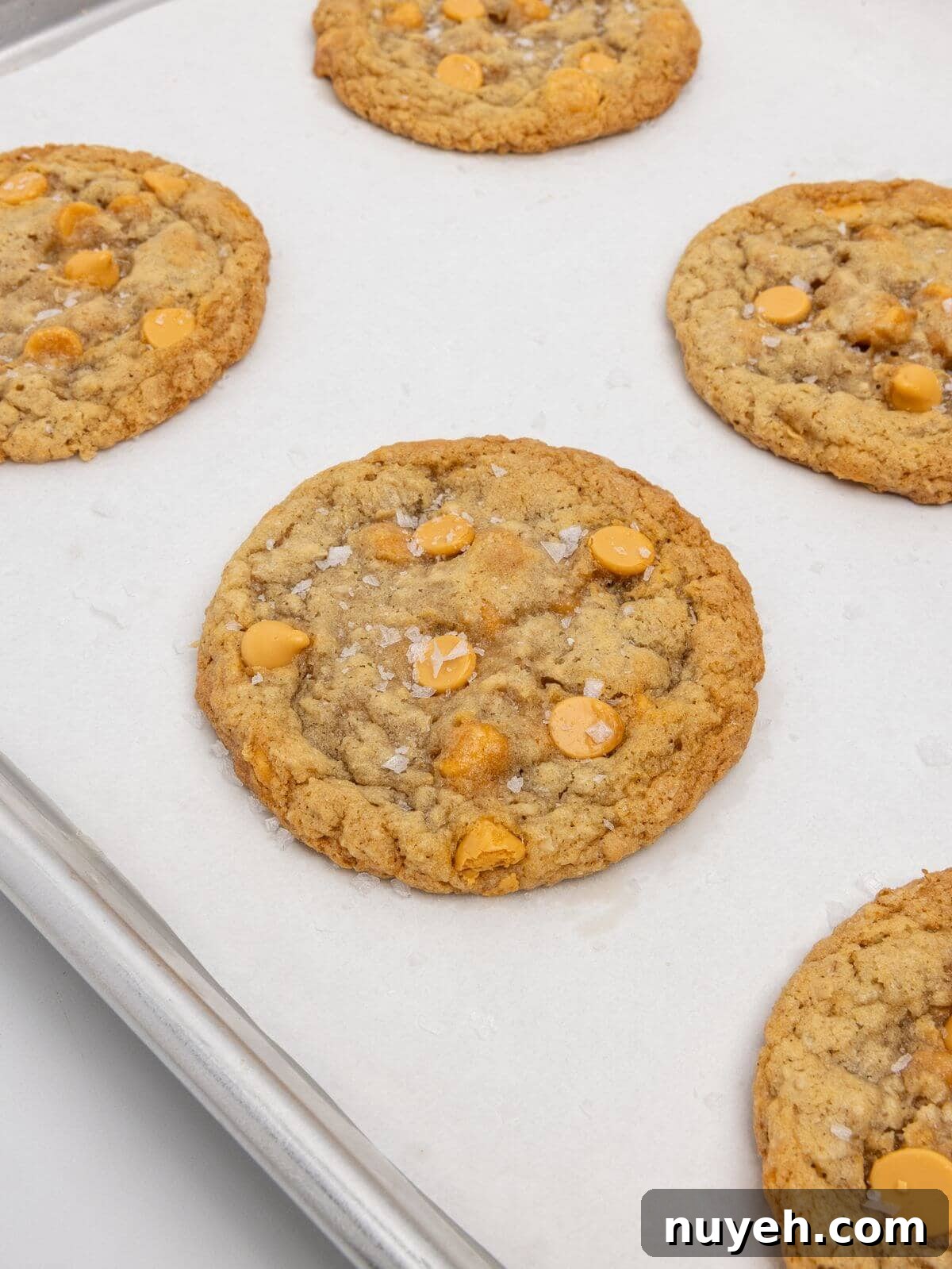 baked oatmeal scotchie cookies on parchment-lined baking sheet