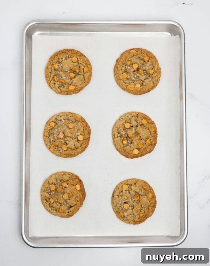 baked oatmeal scotchies on baking sheet