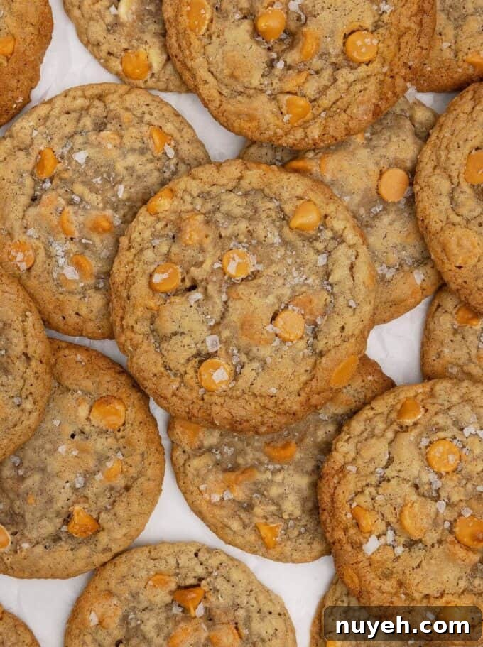 oatmeal scotchies cookies on parchment paper