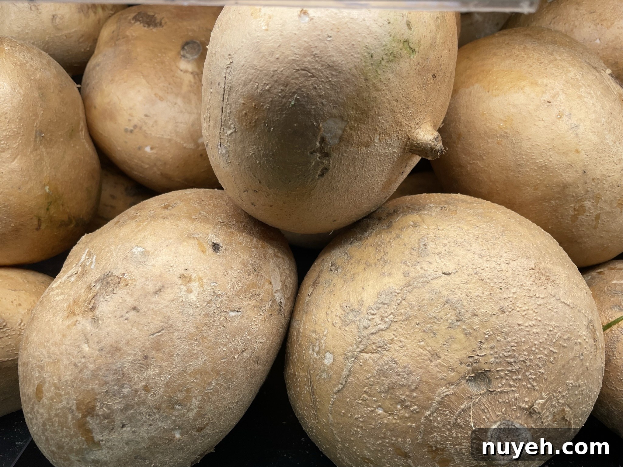 jicama