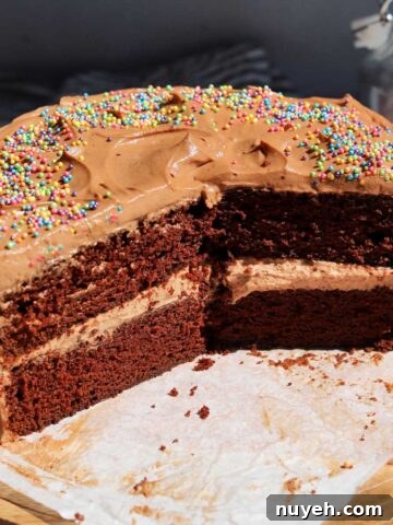 chocolate sour cream layer cake