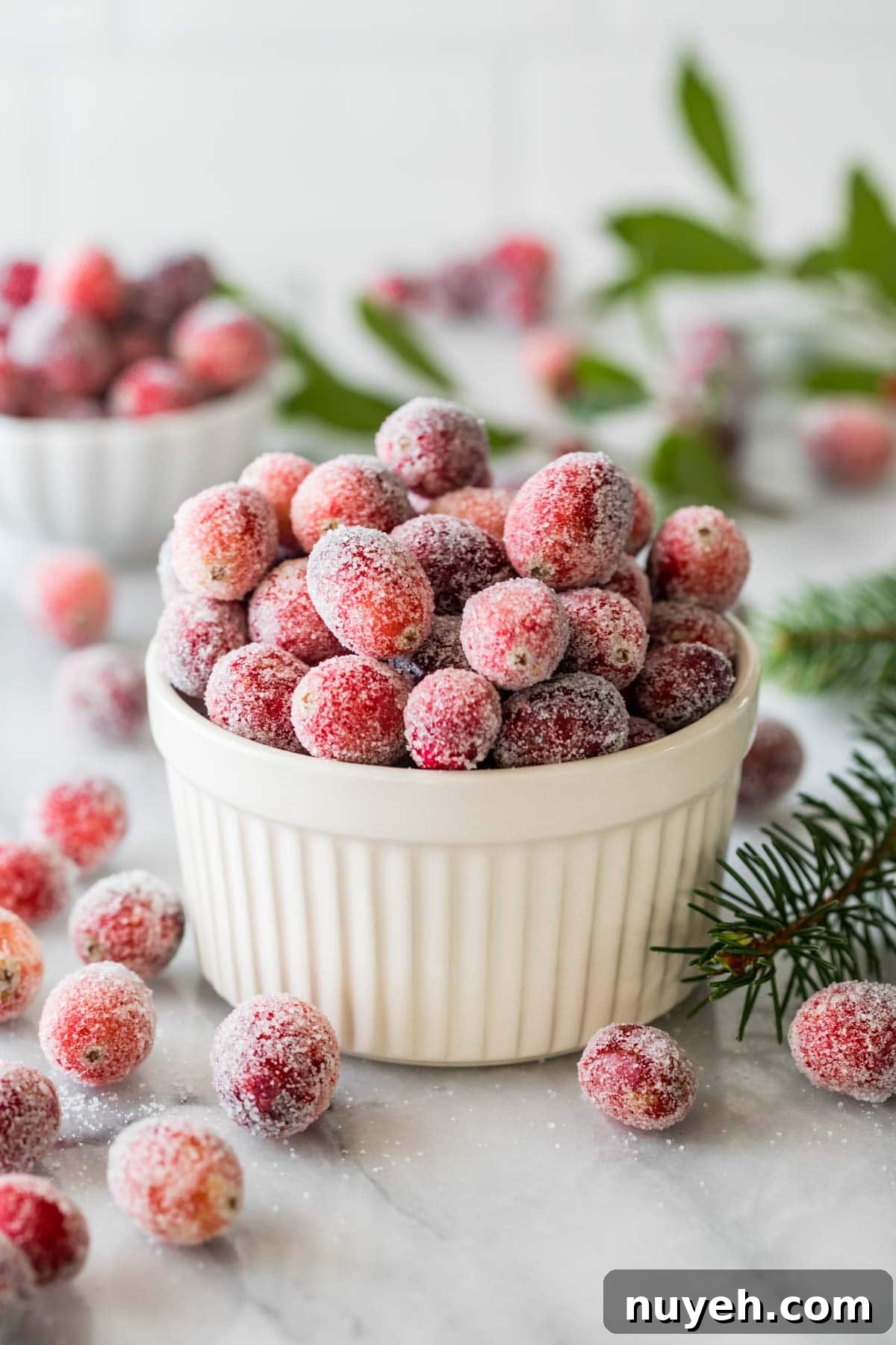 Ramekin of sugared cranberries.
