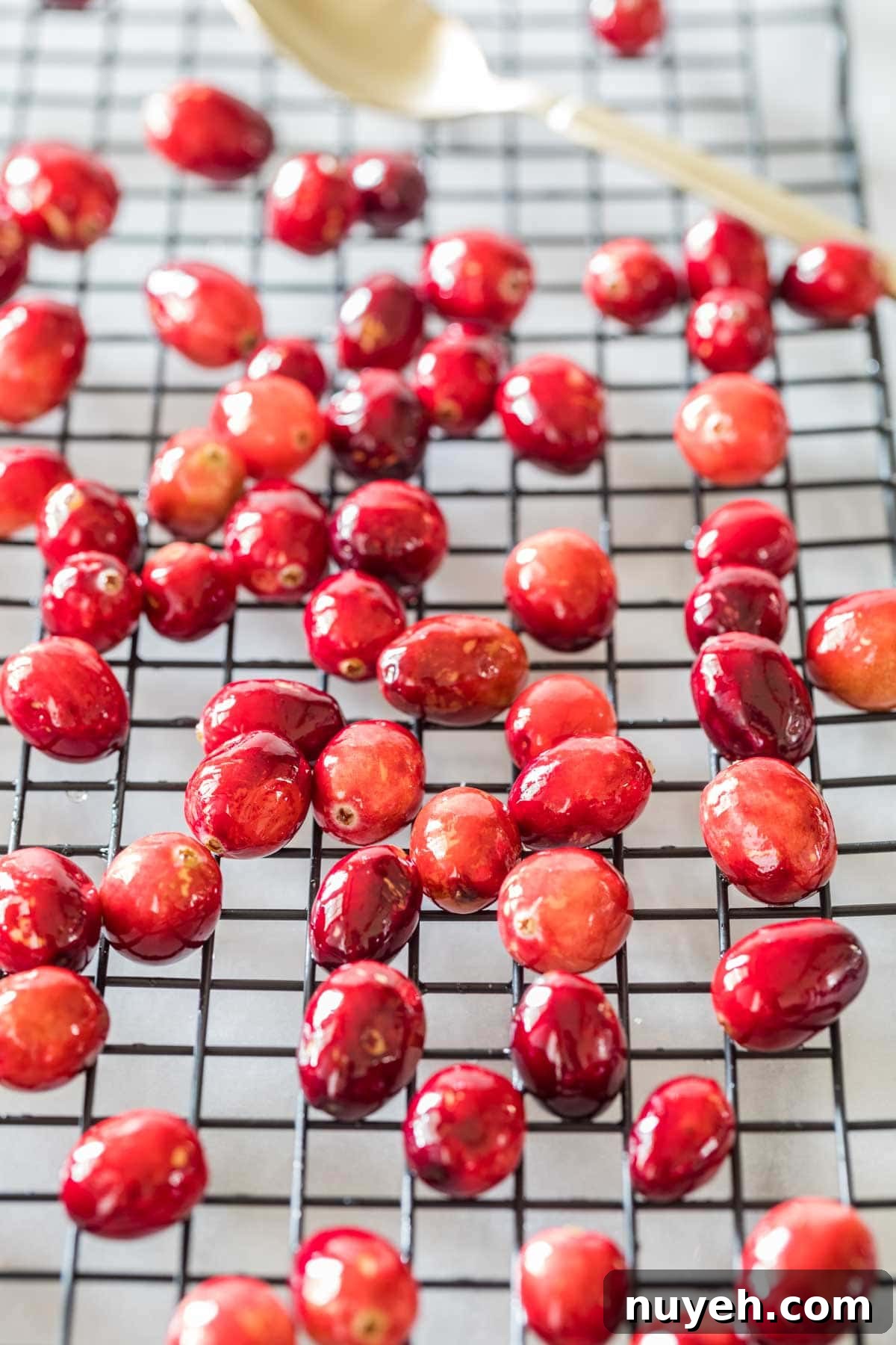 Candied cranberries on a cooling rack after being dipped in simple syrup.