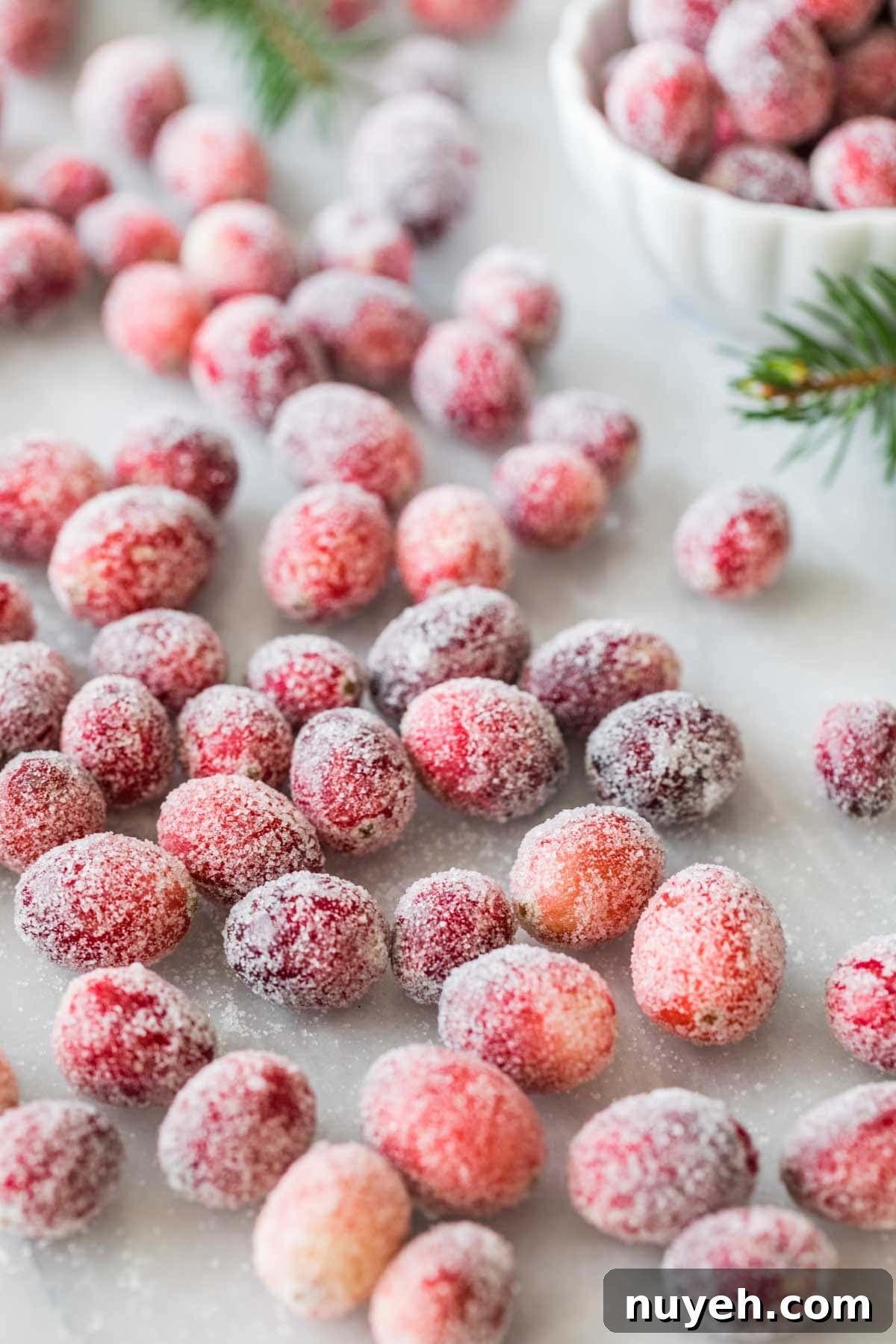 Cranberries that have been dipped in syrup and coated in granulated sugar to create a frosted, snow-covered look.