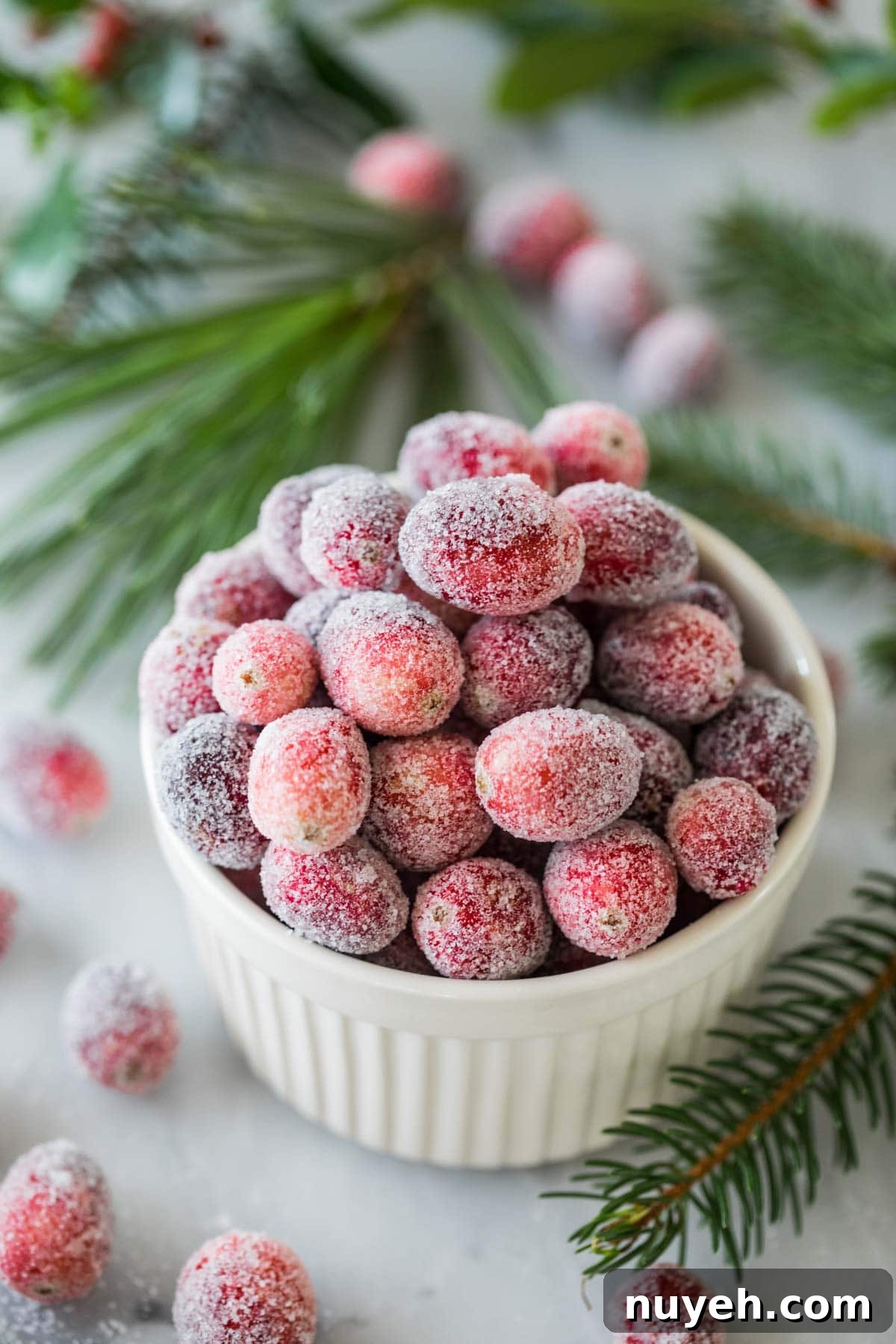 Overhead view of sugared cranberries in a white bowl.
