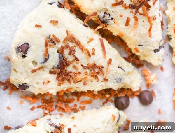 Coconut and Dark Chocolate Ricotta Scones