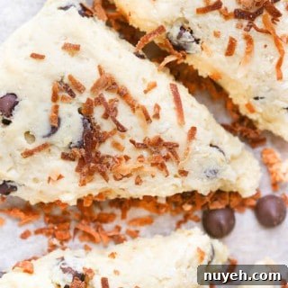 Coconut and Dark Chocolate Ricotta Scones