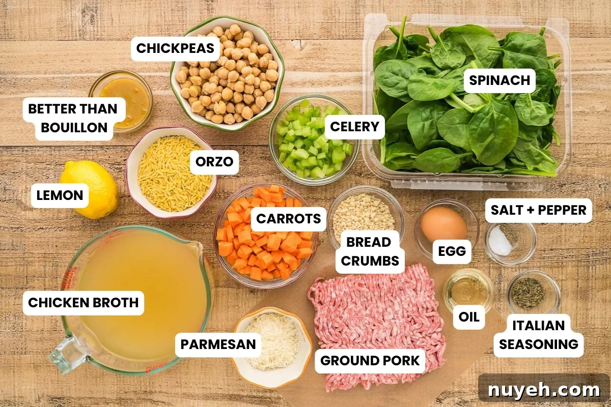 soup ingredients