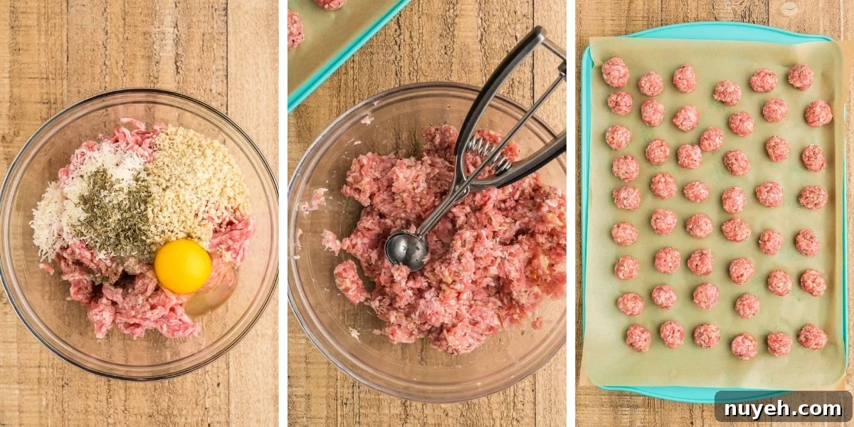photos to illustrate making meatball soup