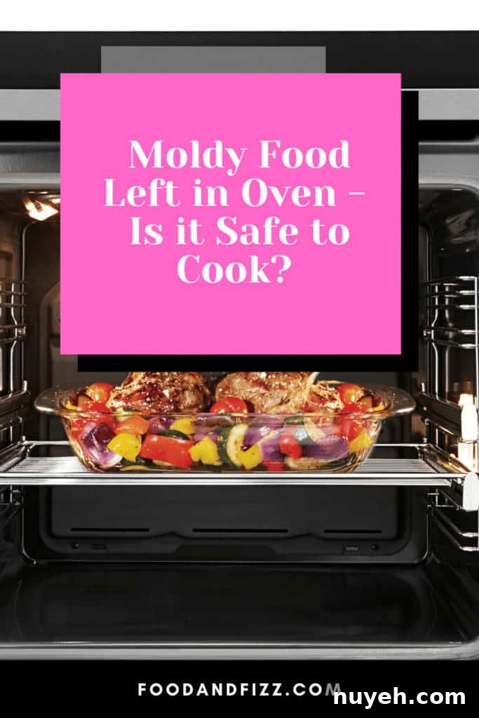 Moldy Food Left in Oven: Can You Safely Reheat It? 2 Moldy food left in oven