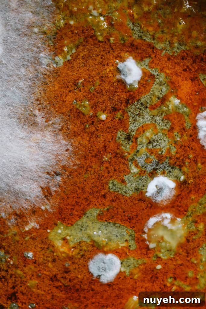 Moldy Food Left in Oven: Can You Safely Reheat It? 4 Mold produces heat-resistant toxins